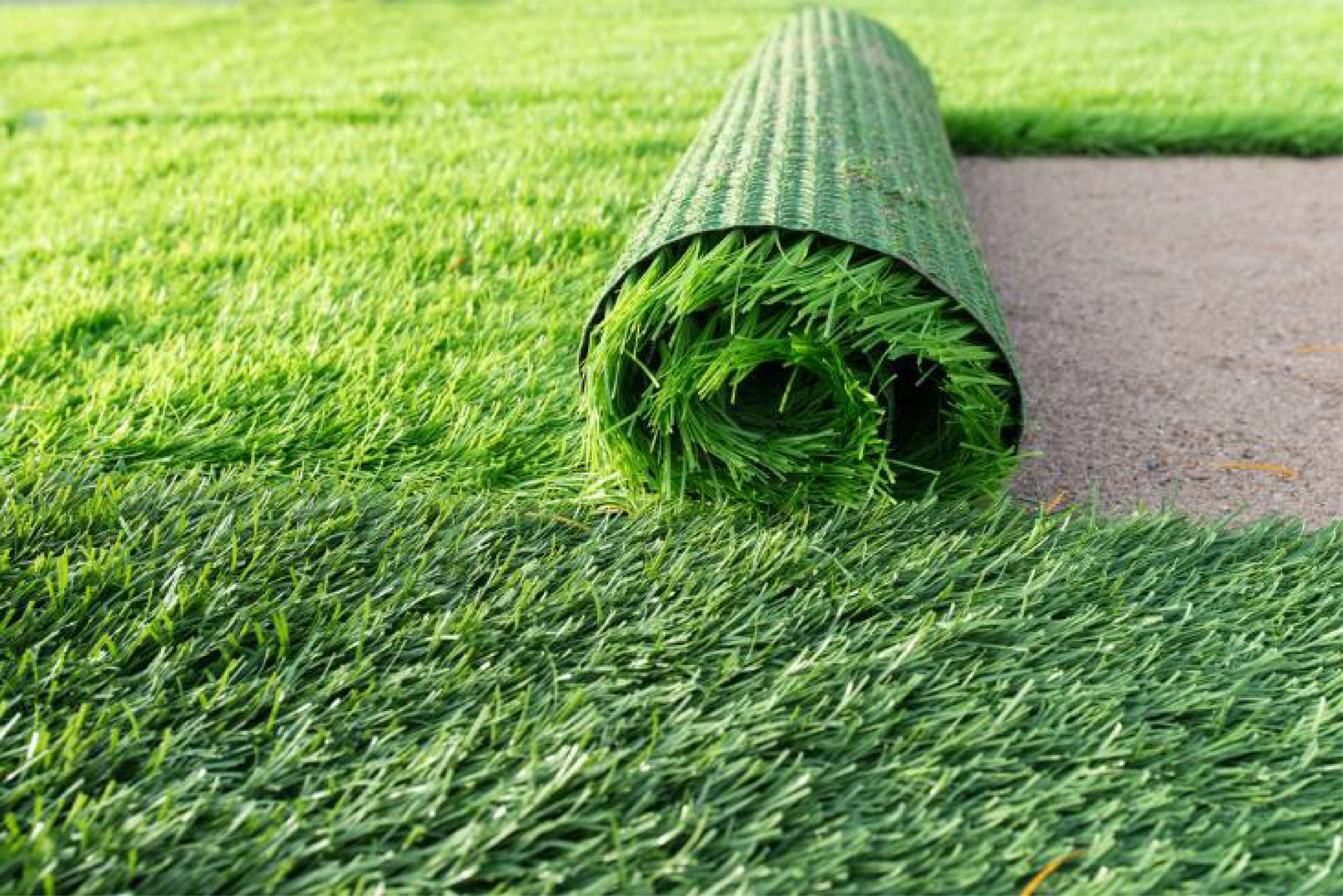 Should Fake Grass Lose Grass Blades? Scottsdale Fake Grass